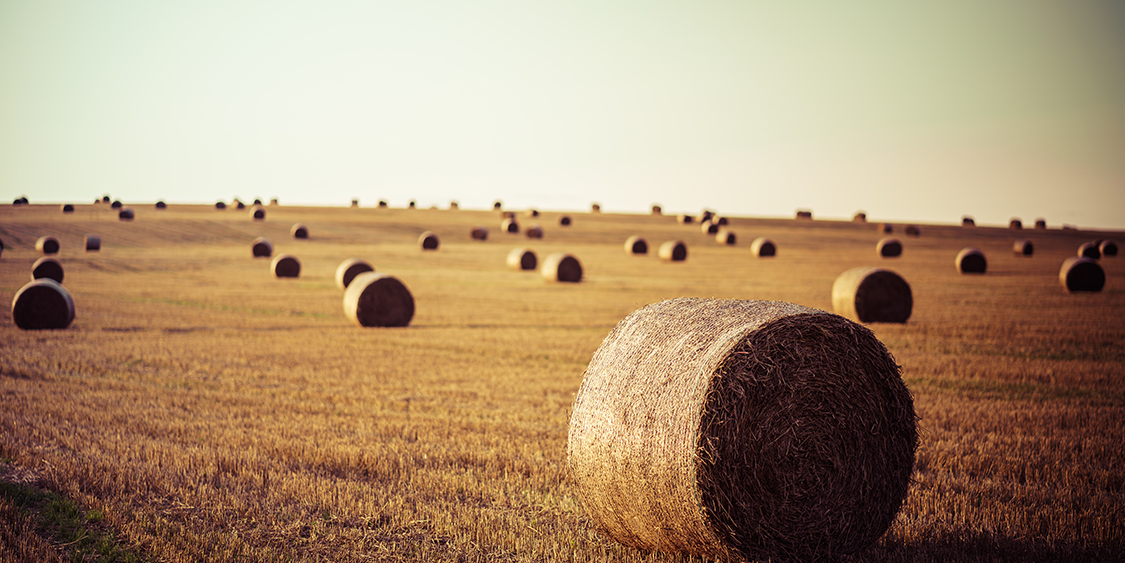 18 Tips for Agricultural Employees to Safely Handle Big Hay Bales