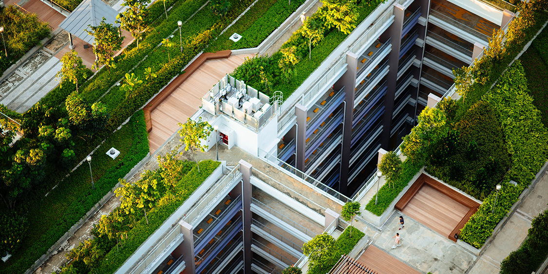 5 Challenges and Risks of Sustainable Green Design Projects